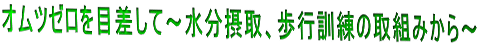 Ic[ڍā`ێAsP̎g݂`
