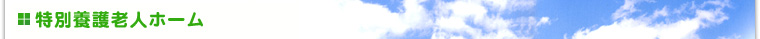 ʗ{Vlz[